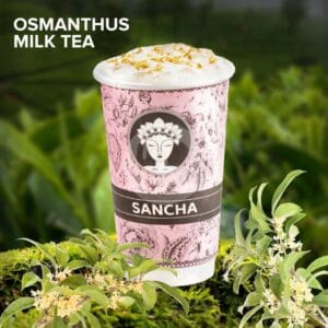 franchise sancha